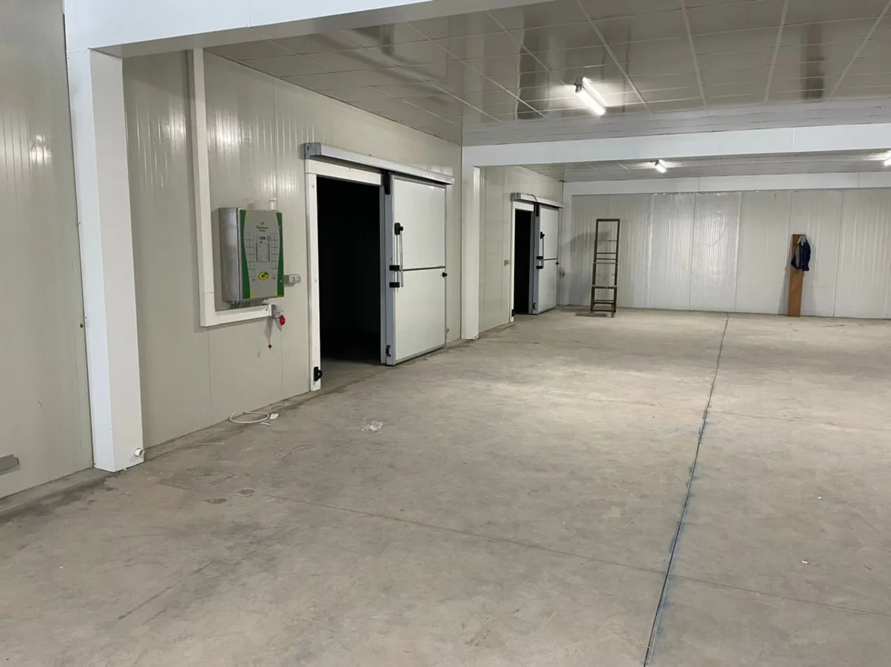 TBN International growing racks — wide view across the hall