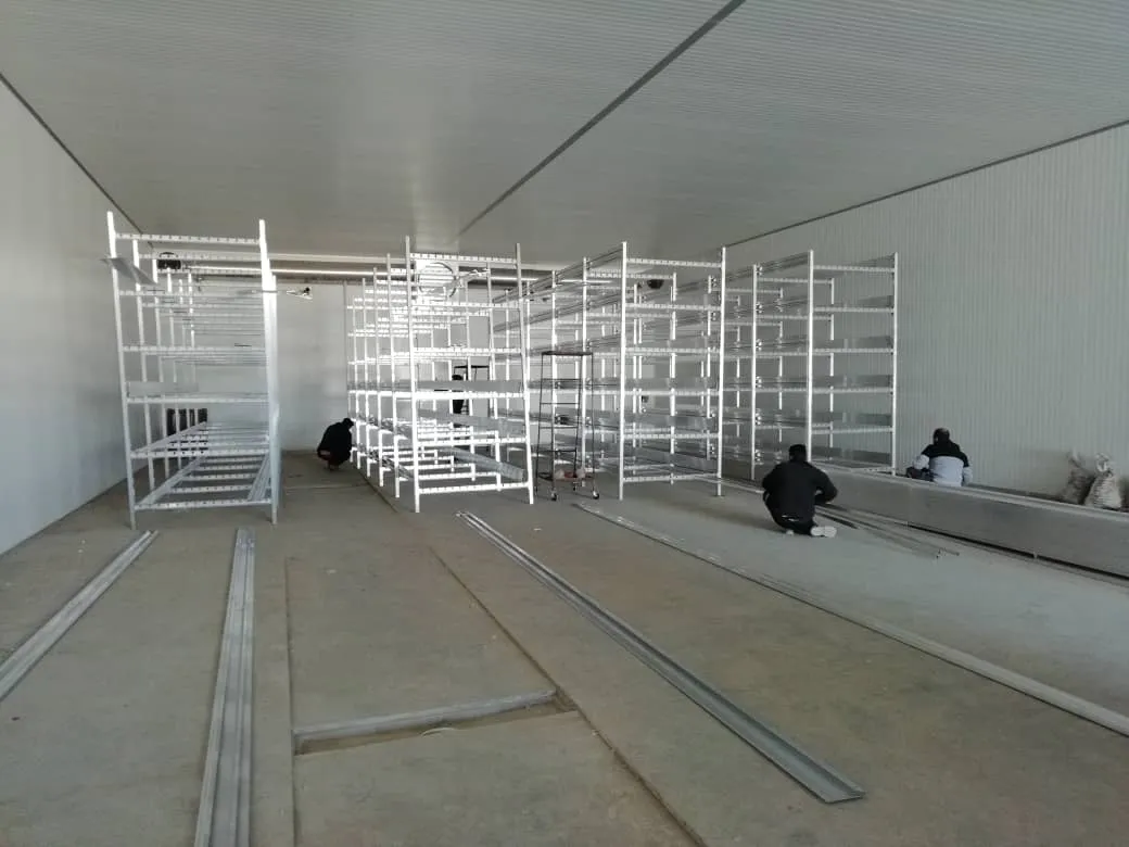 TBN International growing racks — wide view across the hall
